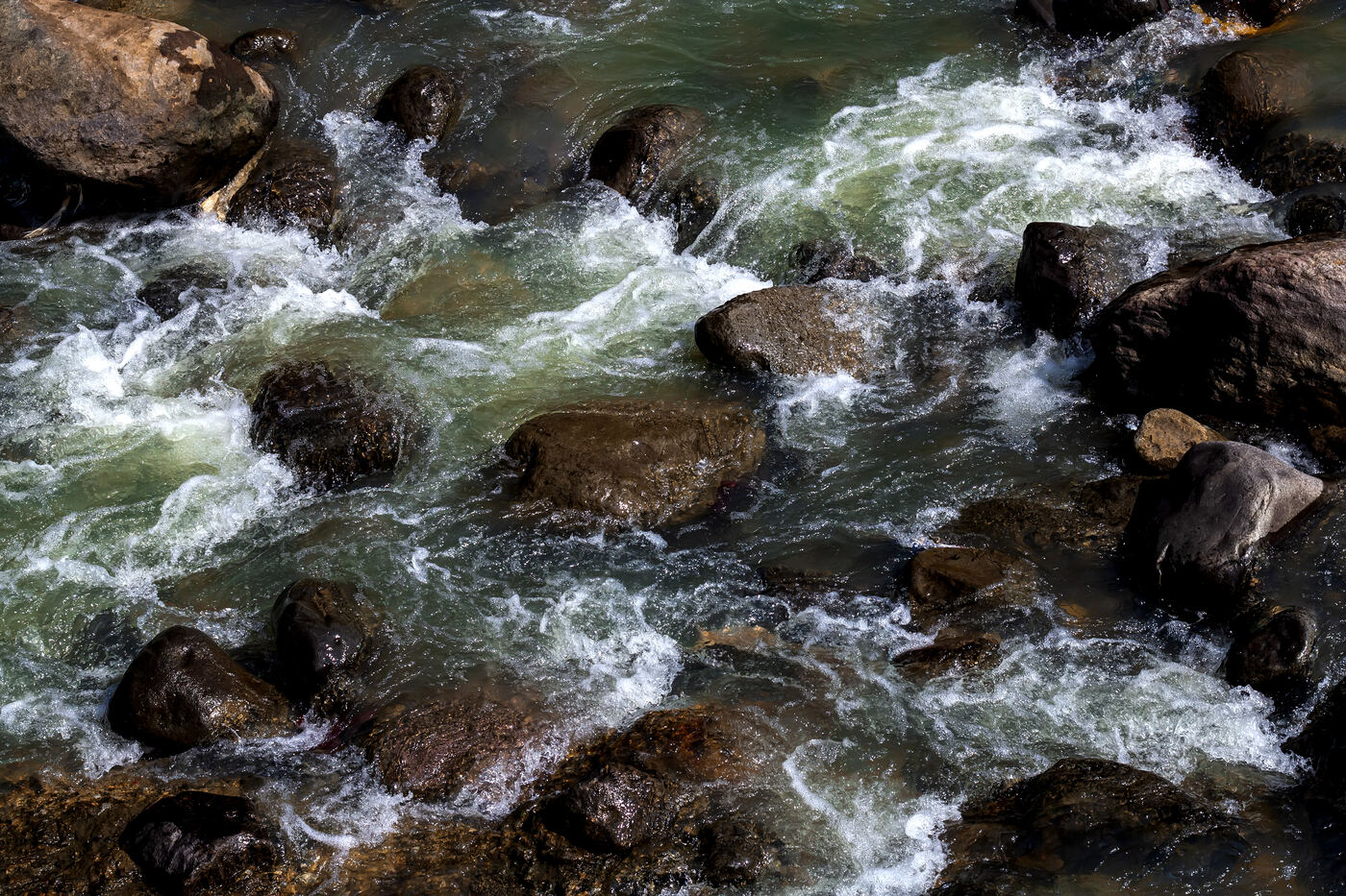 Turbulent whitewater rushing over rocks, representing the emotional turbulence families are navigating.